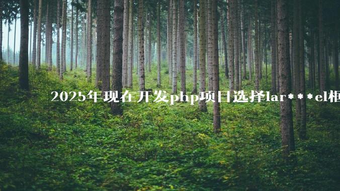 2025年现在开发php项目选择lar***el框架好还是thinkphp框架好?