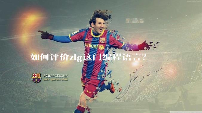 如何评价zig这门编程语言?