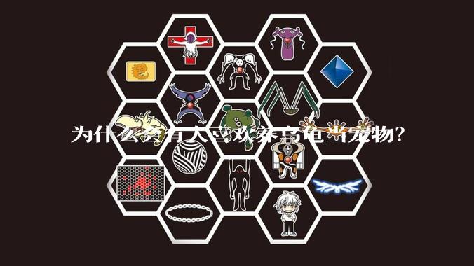 为什么会有人喜欢养乌龟当宠物?