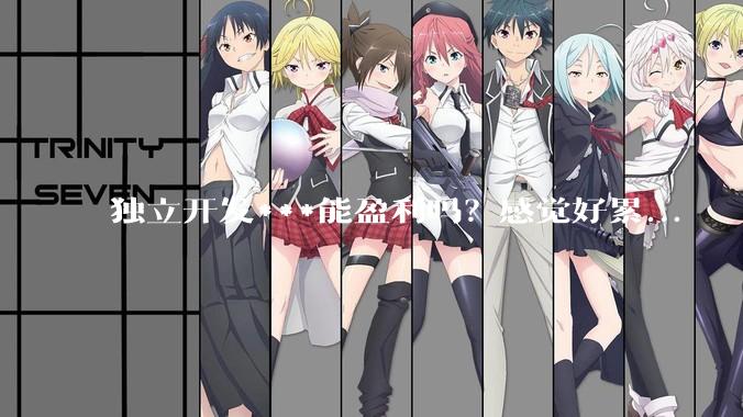 独立开发***能盈利吗?感觉好累...