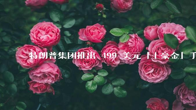 特朗普集团推出 499 美元「土豪金」手机 T1,安卓系统,号称「美国制造」,如何看待此举?