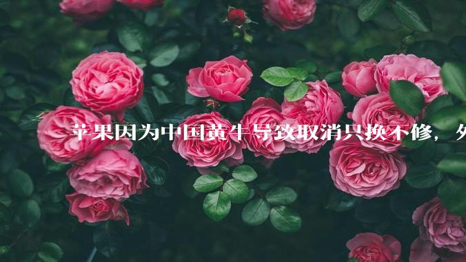 苹果因为中国黄牛导致取消只换不修，外国没有黄牛吗？