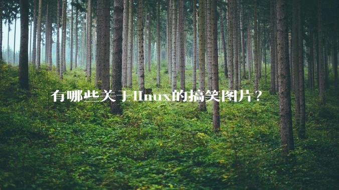 有哪些关于linux的搞笑图片?