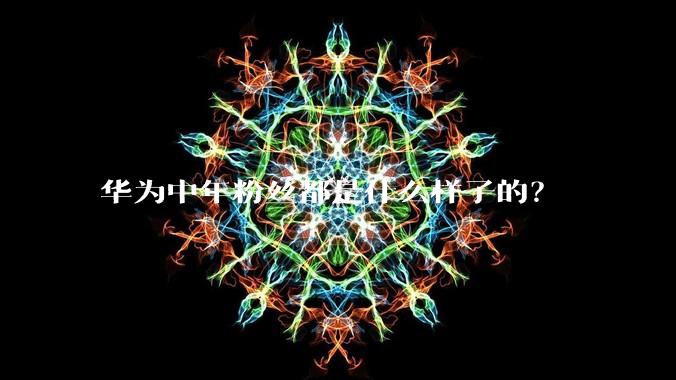 华为中年粉丝都是什么样子的?