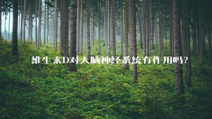 维生素D对大脑神经系统有作用吗?