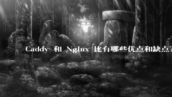 Caddy 和 Nginx 比有哪些优点和缺点?