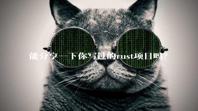 能分享一下你写过的rust项目吗?