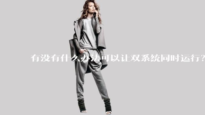 有没有什么办法可以让双系统同时运行?