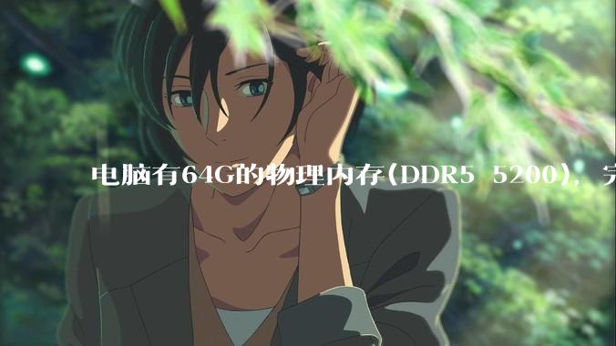 电脑有64G的物理内存(DDR5 5200),完全够用了,可以关闭系统的虚拟内存吗?
