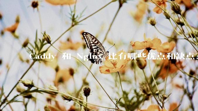 Caddy 和 Nginx 比有哪些优点和缺点?