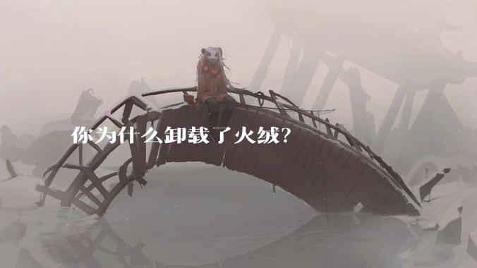 你为什么卸载了火绒?