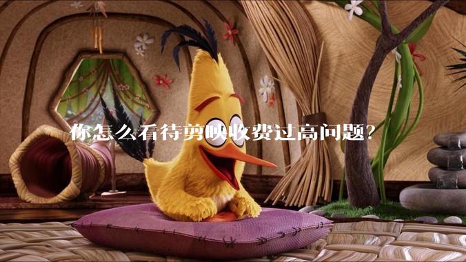 你怎么看待剪映收费过高问题？