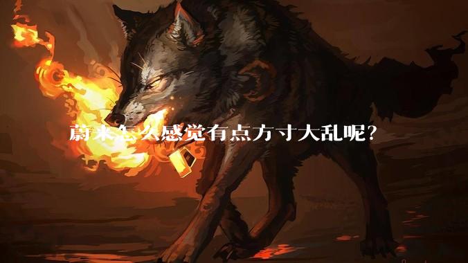 蔚来怎么感觉有点方寸大乱呢？