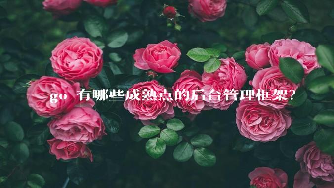 go 有哪些成熟点的后台管理框架?