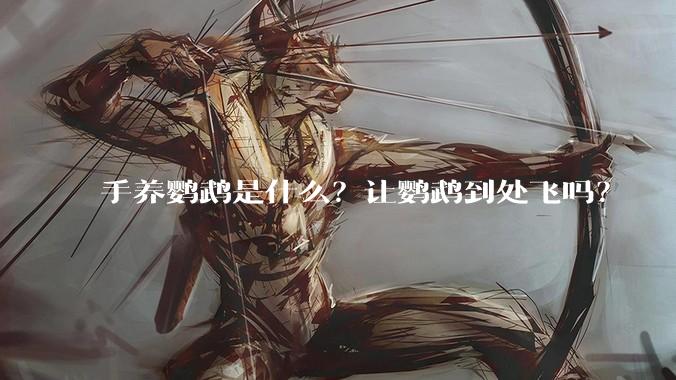 手养鹦鹉是什么？让鹦鹉到处飞吗？