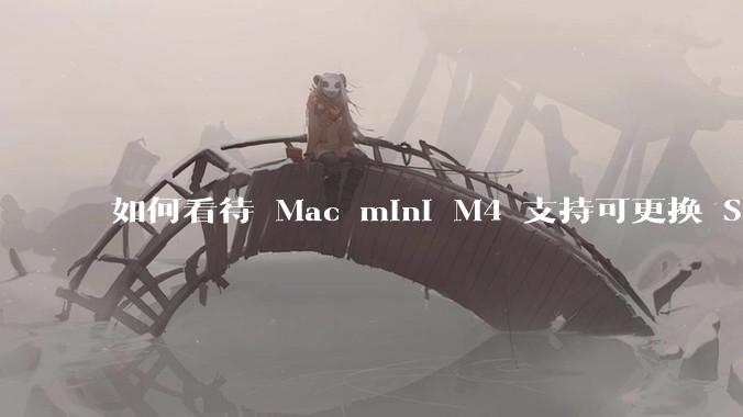 如何看待 Mac mini M4 支持可更换 SSD?