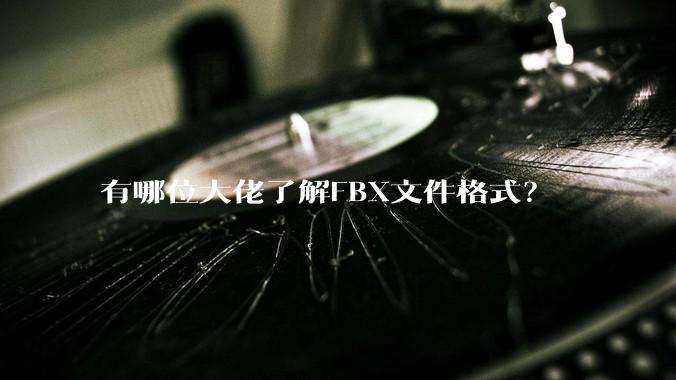 有哪位大佬了解FBX文件格式?