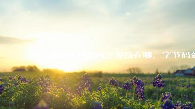 编译器和解释器的分界线在哪,字节码效率能否无限接近机器码?