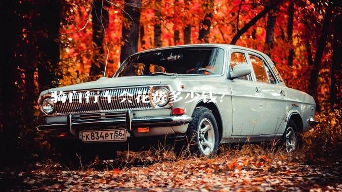 骑自行车会花费多少钱?