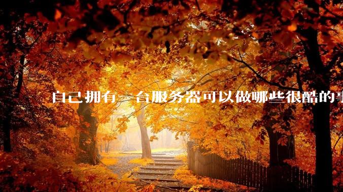 自己拥有一台服务器可以做哪些很酷的事情?