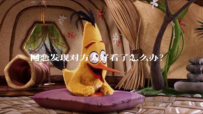 网恋发现对方太好看了怎么办？