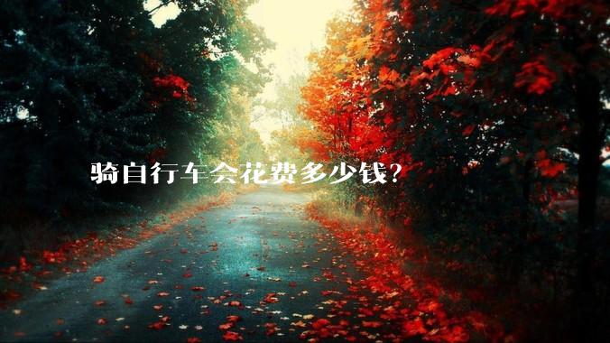 骑自行车会花费多少钱?