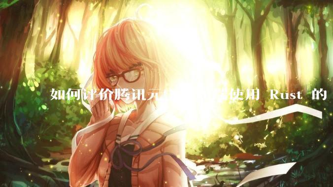 如何评价腾讯元宝桌面端使用 Rust 的 Tauri 框架?