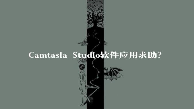 Camtasia Studio软件应用求助?