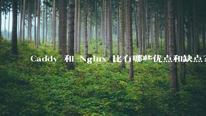Caddy 和 Nginx 比有哪些优点和缺点?