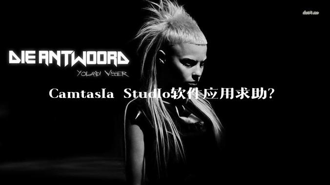 Camtasia Studio软件应用求助?