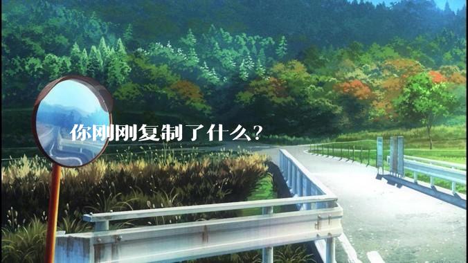 你刚刚复制了什么?