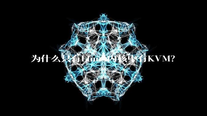为什么只有Linux内核中有KVM?