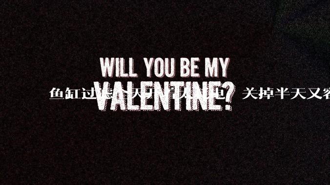 鱼缸过滤全天开着太耗电,关掉半天又容易水浑,有什么好办法?