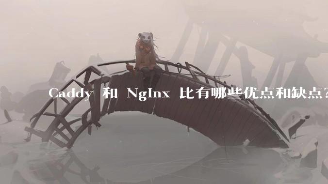 Caddy 和 Nginx 比有哪些优点和缺点?