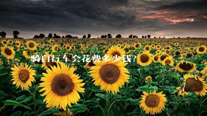 骑自行车会花费多少钱?