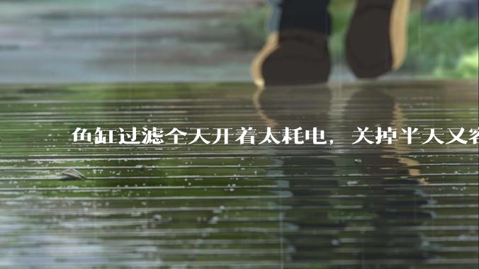 鱼缸过滤全天开着太耗电,关掉半天又容易水浑,有什么好办法?