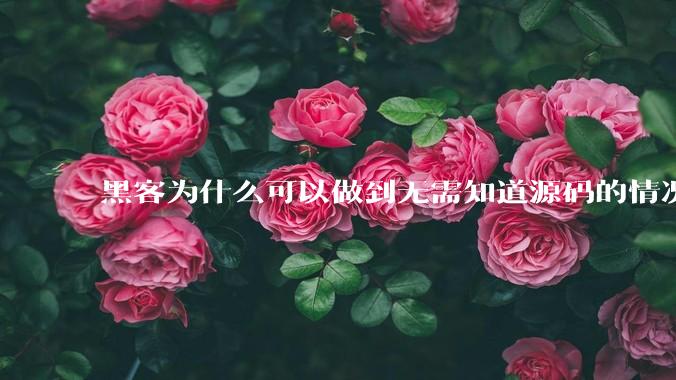 黑客为什么可以做到无需知道源码的情况下找出系统漏洞?