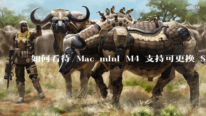 如何看待 Mac mini M4 支持可更换 SSD?