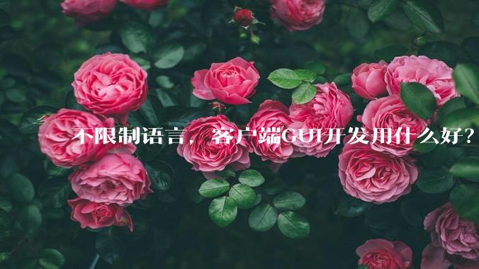 不限制语言,客户端GUI开发用什么好?