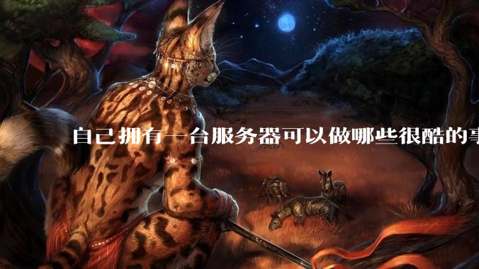 自己拥有一台服务器可以做哪些很酷的事情?