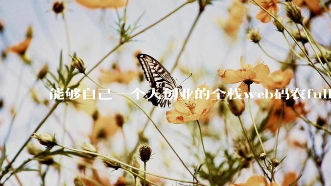 能够自己一个人创业的全栈web码农fullstack developer要会哪些技术?