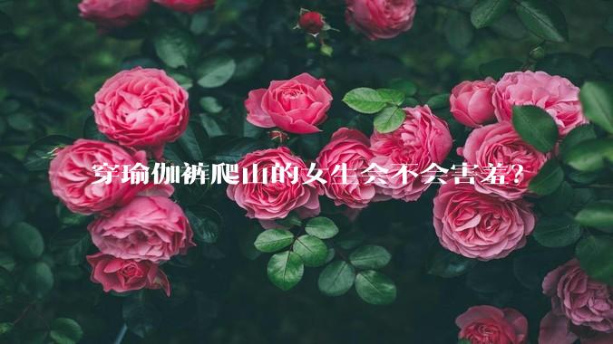 穿瑜伽裤爬山的女生会不会害羞？
