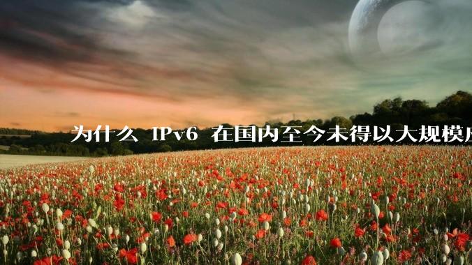 为什么 IPv6 在国内至今未得以大规模应用?