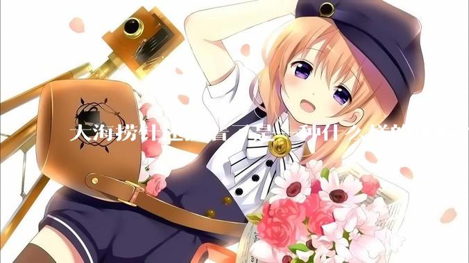 大海捞针还捞着了是一种什么样的体验？