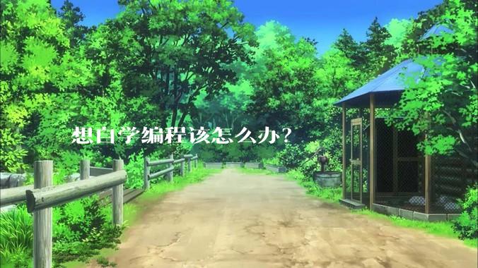 想自学编程该怎么办?