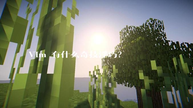 Vim 有什么奇技淫巧?