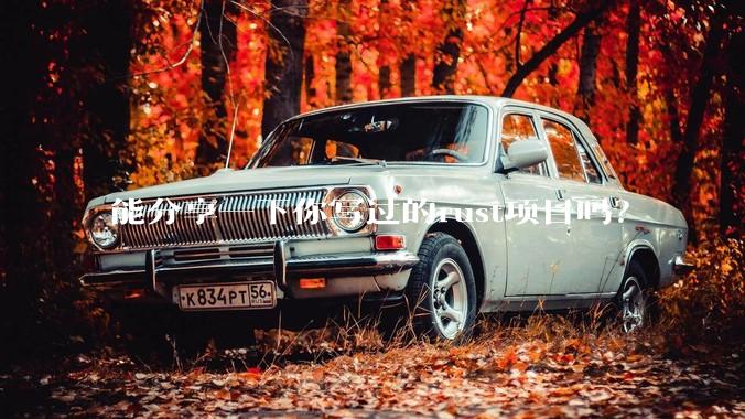 能分享一下你写过的rust项目吗?