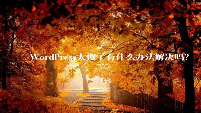 WordPress太慢了有什么办法解决吗?