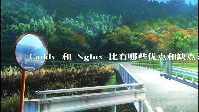 Caddy 和 Nginx 比有哪些优点和缺点?