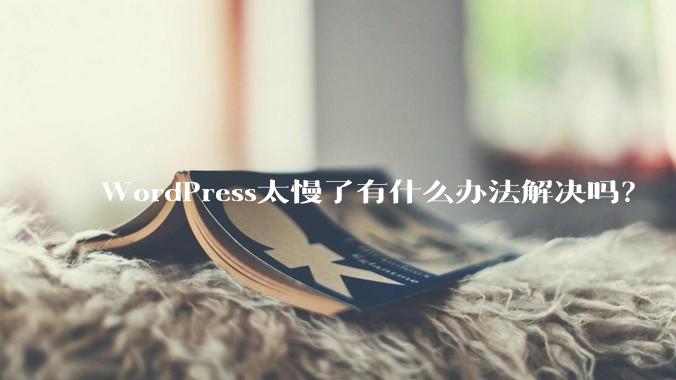 WordPress太慢了有什么办法解决吗?